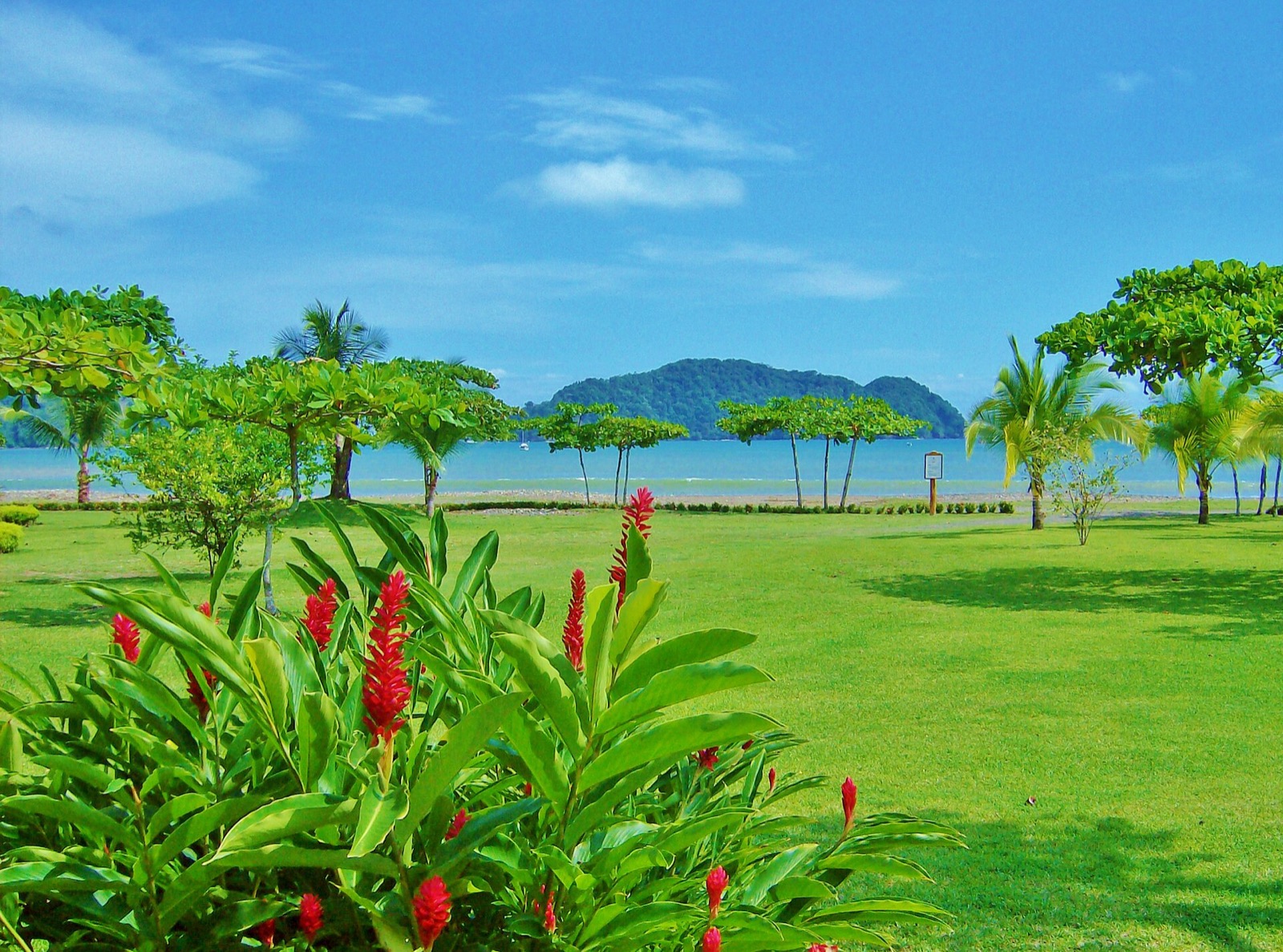 Herradura Bay seen from the gardens at Los Sueños